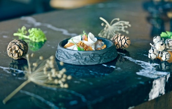 New Affordable Tasting Menu Emerges as Foliage Replaces Michelin-Starred Marlena in San Francisco