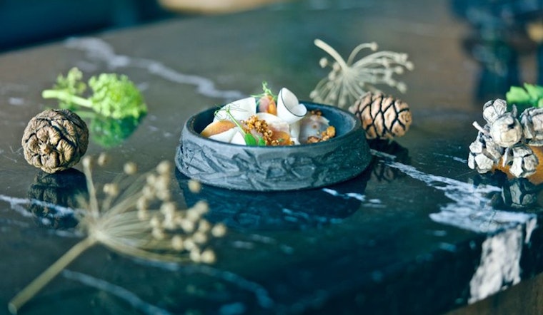 New Affordable Tasting Menu Emerges as Foliage Replaces Michelin-Starred Marlena in San Francisco