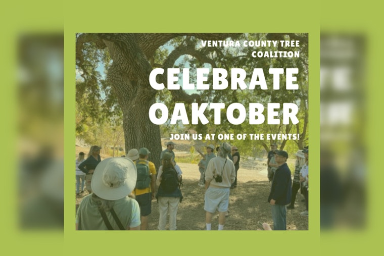 OAKtober Takes Root: Ventura County Tree Coalition Celebrates Native Oaks in Style