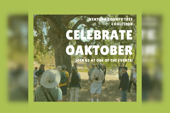 OAKtober Takes Root: Ventura County Tree Coalition Celebrates Native Oaks in Style