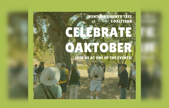OAKtober Takes Root: Ventura County Tree Coalition Celebrates Native Oaks in Style