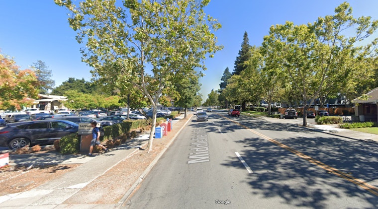 Palo Alto Purse-Snatching Foiled by Elderly Woman's Quick Thinking