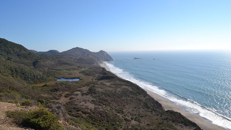 Potential Shark Attack in Bay Area, One Missing as Search Efforts Complicated by Location