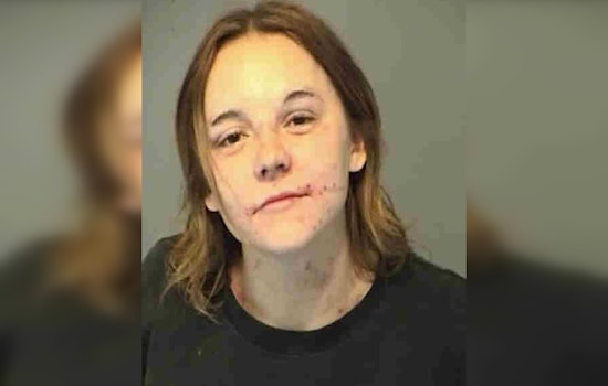 Renewed Search Efforts for Janie Marie Sellers in Bellevue, Illinois