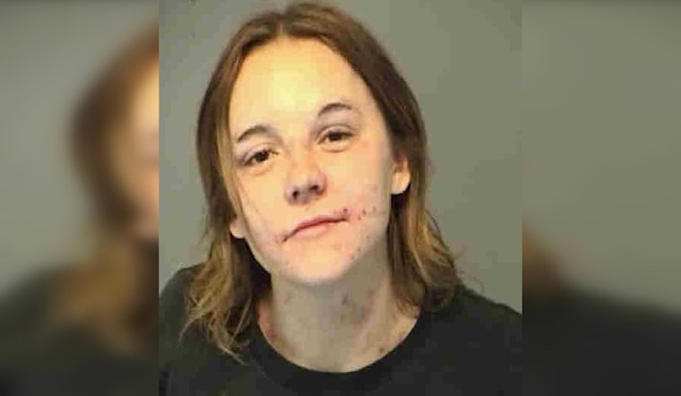 Renewed Search Efforts for Janie Marie Sellers in Bellevue, Illinois