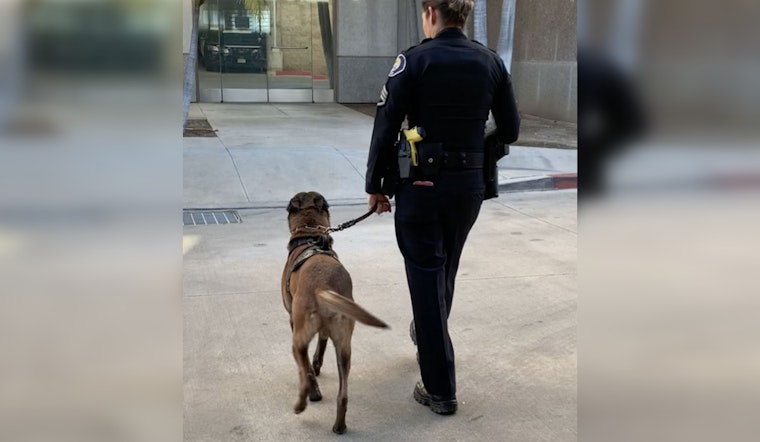 Retired Cop Launches Armed Dog Walking Service in Orange County Amid Theft Spike