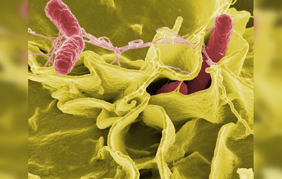 Salmonella Outbreak Linked to Fresno-Based Raw Milk Producer Affects Nine in San Diego