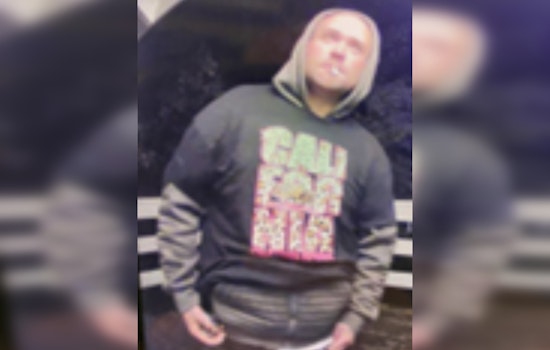 Yucaipa Man Busted for Twin Peaks Vehicle Burglaries; San Bernardino County Sheriff's Department Seeks Public's Help