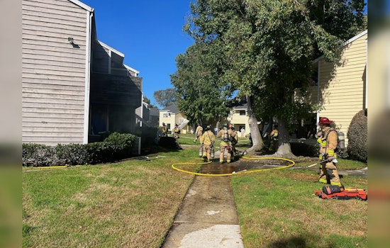 One Dog Dies, Another Injured when San Diego Apartment Complex Catches Fire