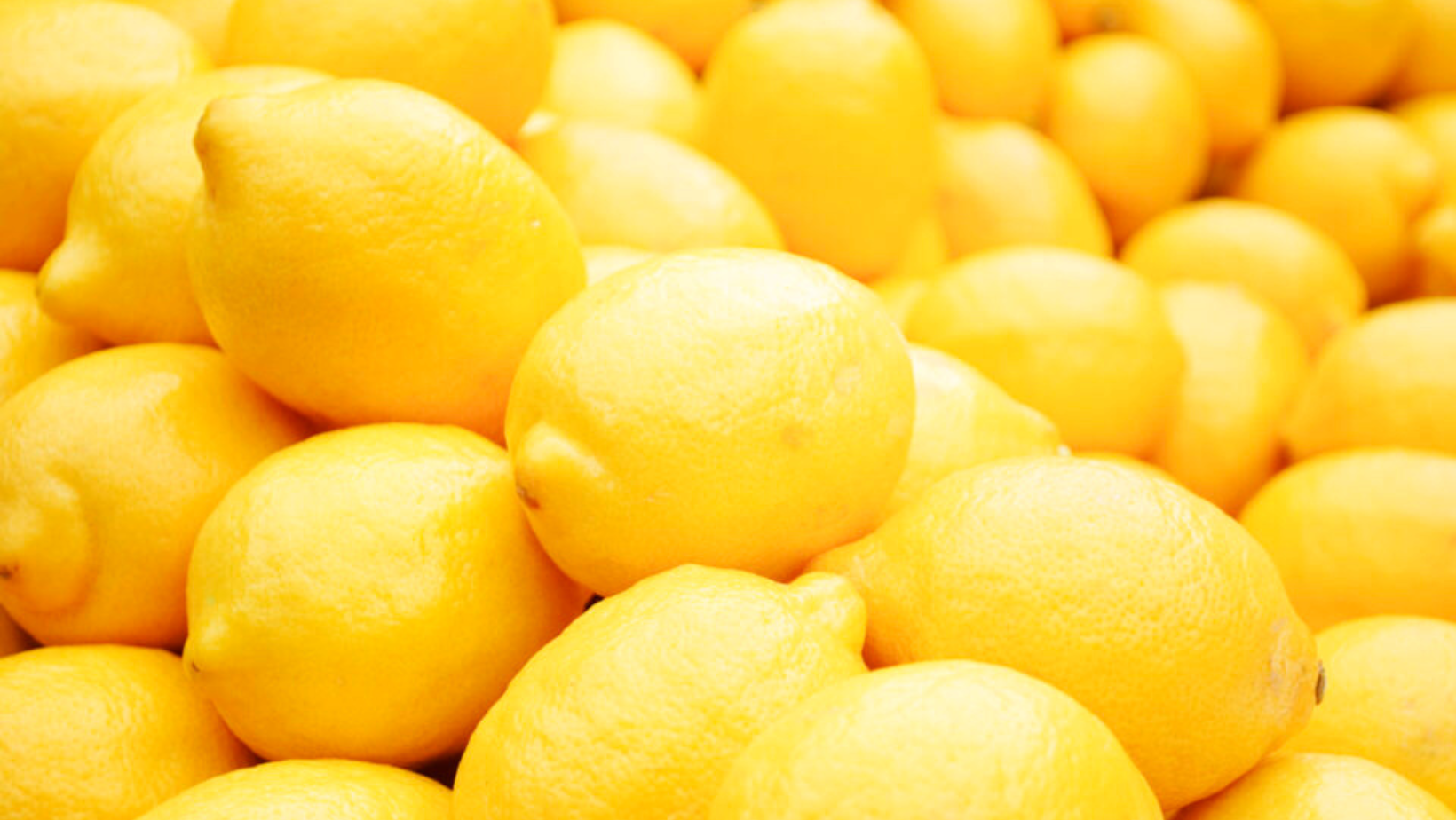 San Diego County Agriculture Soars to 1.78 Billion, Resilient Amid