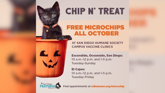 San Diego Humane Society Offers Free Microchips for Pets in October