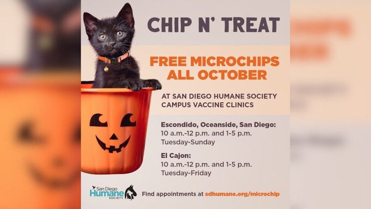 San Diego Humane Society Offers Free Microchips for Pets in October