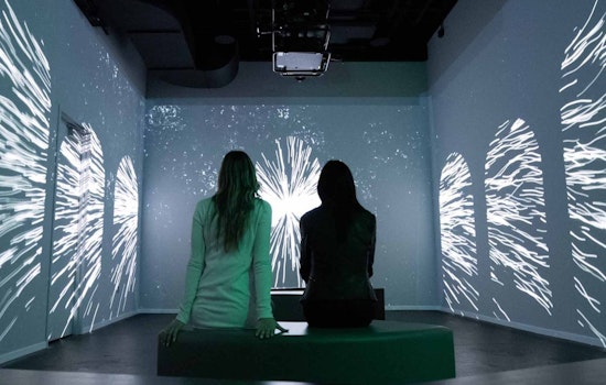 San Diego's WNDR Museum Offers Free Admission on International Artist Day
