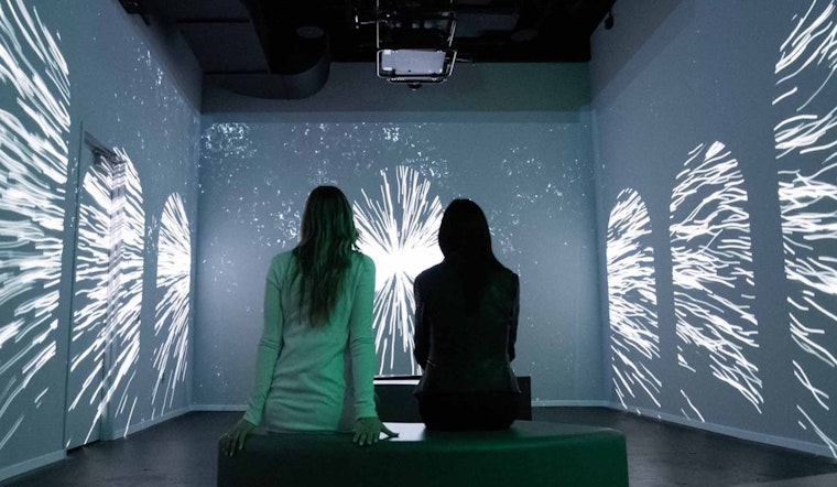 San Diego's WNDR Museum Offers Free Admission on International Artist Day