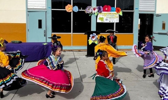 San Mateo County's 10th Annual Sana Sana, Colita de Rana: A Decade of Healing Together in the Latino/a/x Community