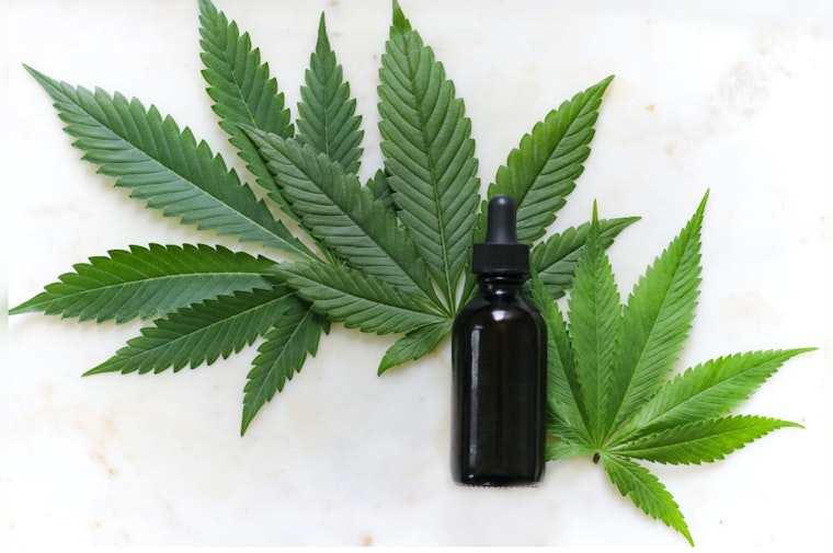Santa Monica City Council Greenlights Retail Cannabis Sales for Economic Boost