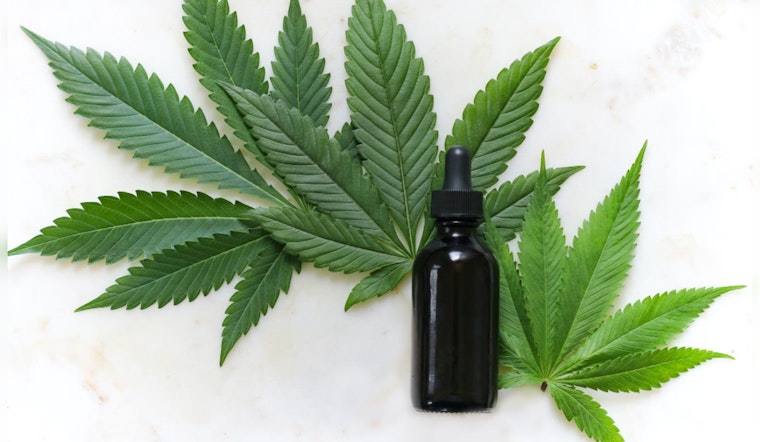 Santa Monica City Council Greenlights Retail Cannabis Sales for Economic Boost