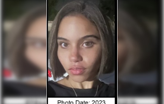 Missing 23-Year-Old Dominique Robert of Los Angeles, Went Missing in Stevenson Ranch