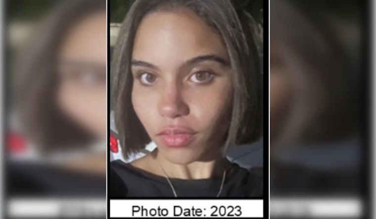 Missing 23-Year-Old Dominique Robert of Los Angeles, Went Missing in Stevenson Ranch