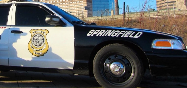Serial Car Break-in Suspect Apprehended in Springfield's Forest Park Neighborhood