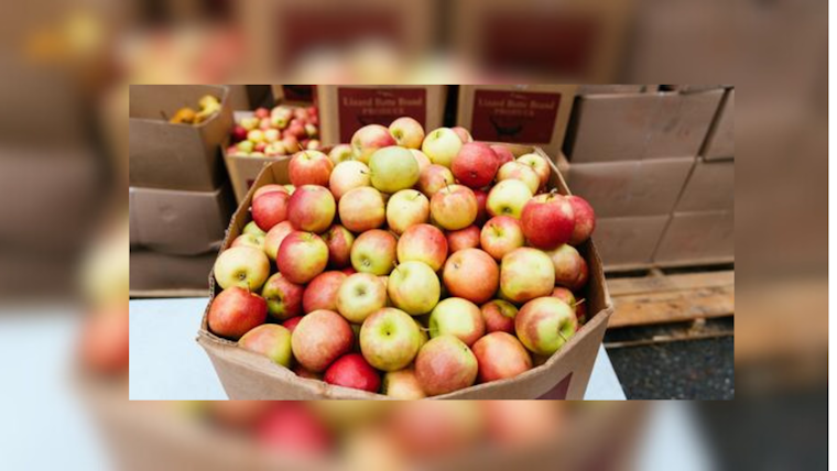 SF-Marin Food Bank to Phase Out Pandemic Response Programs as Funding Dwindle, Shifts Focus to Traditional Pantry Network