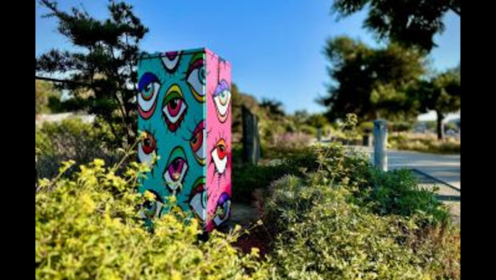 Solana Beach's Utility Box Wrap Project Transforms Urban Infrastructure into Artistic Canvases