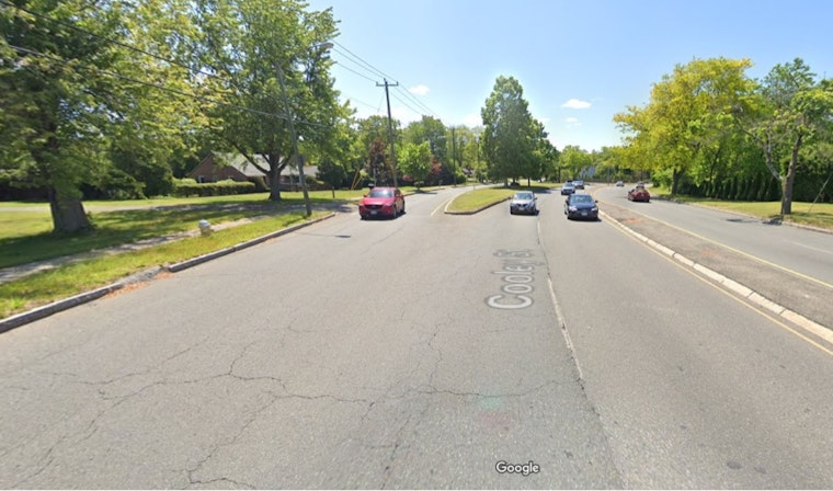 Springfield Mother of Three Dies in Car Crash After Family's Tragic Murder