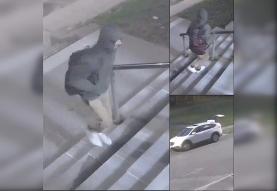 Staircase Bandit Strikes Springfield School: Suspect Sought for Stealing Railings