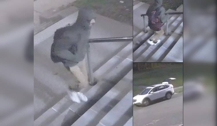 Staircase Bandit Strikes Springfield School: Suspect Sought for Stealing Railings
