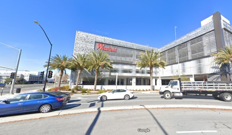 Suspect Apprehended in San José's Valley Fair Mall Gucci Heist, Police Seek Remaining Suspects