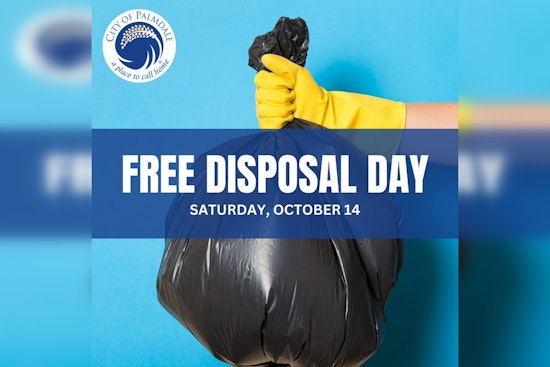 Tackling Waste Disposal and Environmental Concerns with LA County's FREE Dumping Day Event