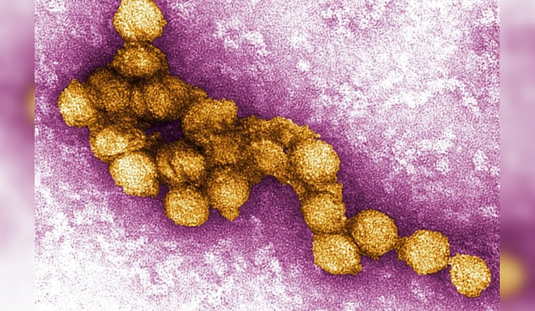 West Nile Virus Detected in Newbury Park Bird, Ventura County Authorities Intensify Mosquito Control Efforts