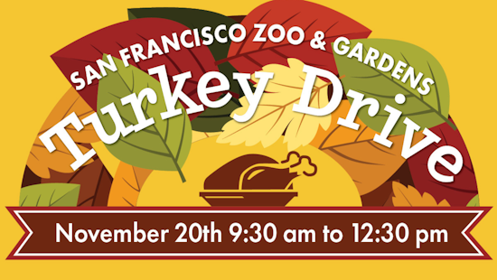 12th Annual SF Turkey Drive Teams Up with San Francisco Zoo to Feed the Hungry