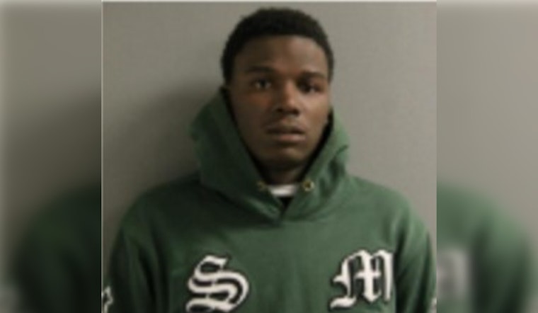 19-Year-Old Chicago Teen Charged with Vehicular Hijacking