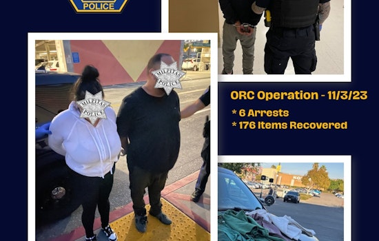 Bay Area Bust as Task Force Tackles Organized Retail Crime, Arrests Six Near San Jose
