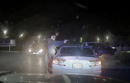 State Trooper Shot Multiple Times, Suffers Brain Injuries in Arrest of Chicago Man Linked to Murder of 37-Year-Old Woman