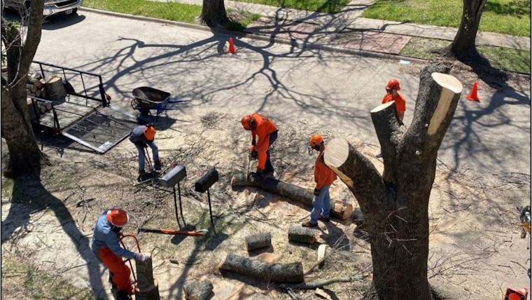 Allen, Texas Showcases Community Excellence with Supportive Initiatives and Grant Programs