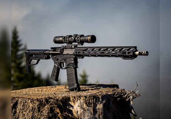 Assault Weapon Ban in Illinois Holds Fast as Court Upholds Law; Registration Response Tepid in Land of Lincoln