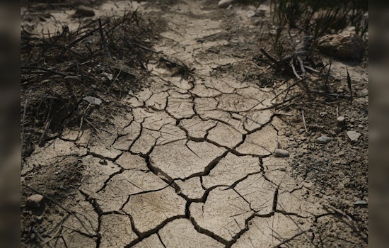 Austin's Scorching Future, Triple-Digit Heat Days to Soar by Century's End
