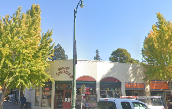 Berkeley's Beloved Sweet Dreams Candy and Toys Set for Heartbreaking Closure