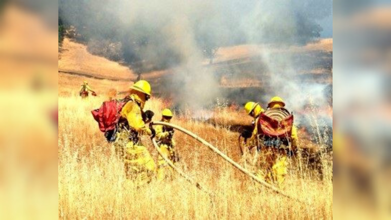 Big Rock Ridge Prescribed Burn, Marin County Takes Proactive Steps for Forest Health and Wildfire Prevention