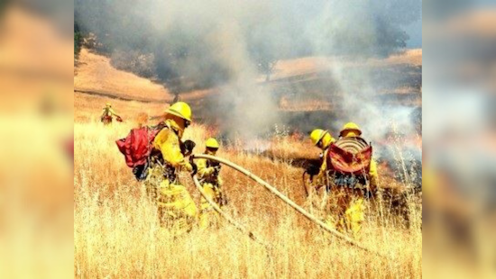 Big Rock Ridge Prescribed Burn, Marin County Takes Proactive Steps for Forest Health and Wildfire Prevention