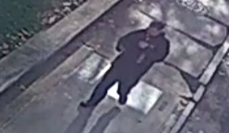 Boston Police Seek Public's Help to Identify Camera Gear Thief in DeFilippo Park