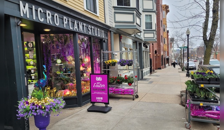 Boston's Bloom Boom, Micro Plant Studio's 3D-Printed Pots Root Latinx Business in Beantown