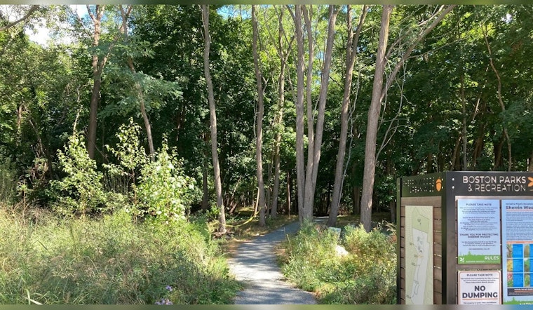 Boston's Urban Wilds Program Soars as New Member of Forests in Cities Network