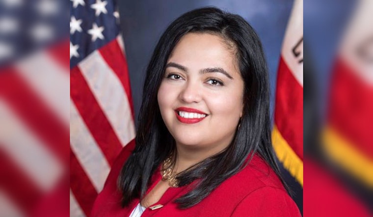 California Assemblymember Wendy Carrillo Arrested on Suspicion of DUI: Impact on LA City Council Campaign