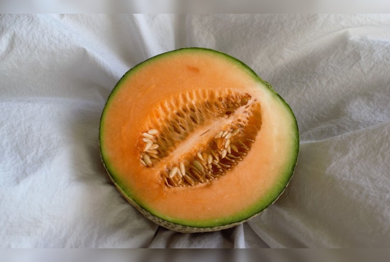 Cantaloupe Recall in 10 US States and Canada Over Potential Salmonella Contamination