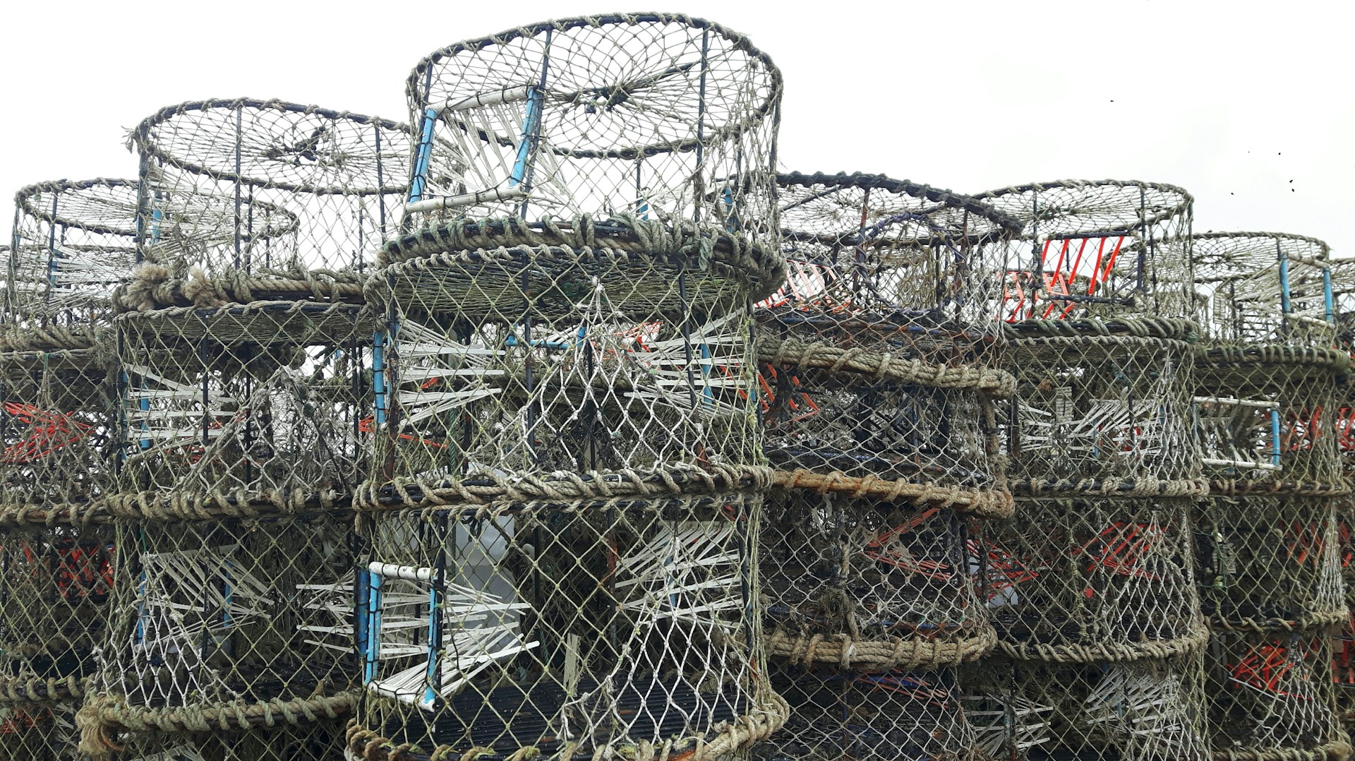Crab Traps for sale in Los Angeles, California