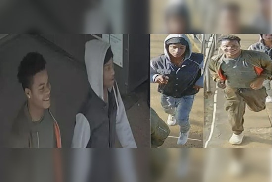 Chicago Police Seek Suspects in CTA Blueline Assault