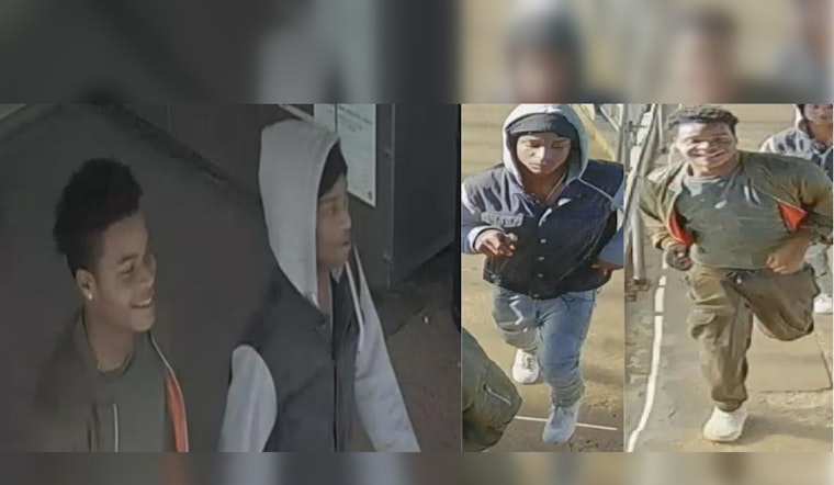 Chicago Police Seek Suspects in CTA Blueline Assault
